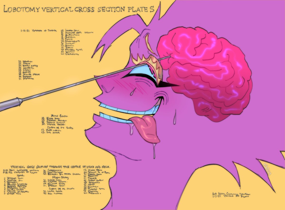 nbsya100 tweet media