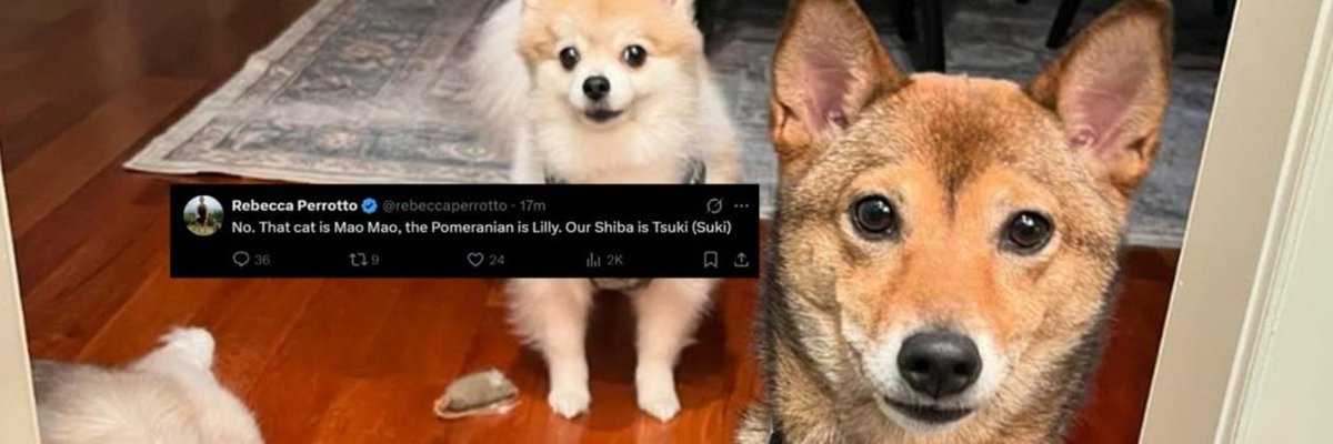 Mephisto tweet media