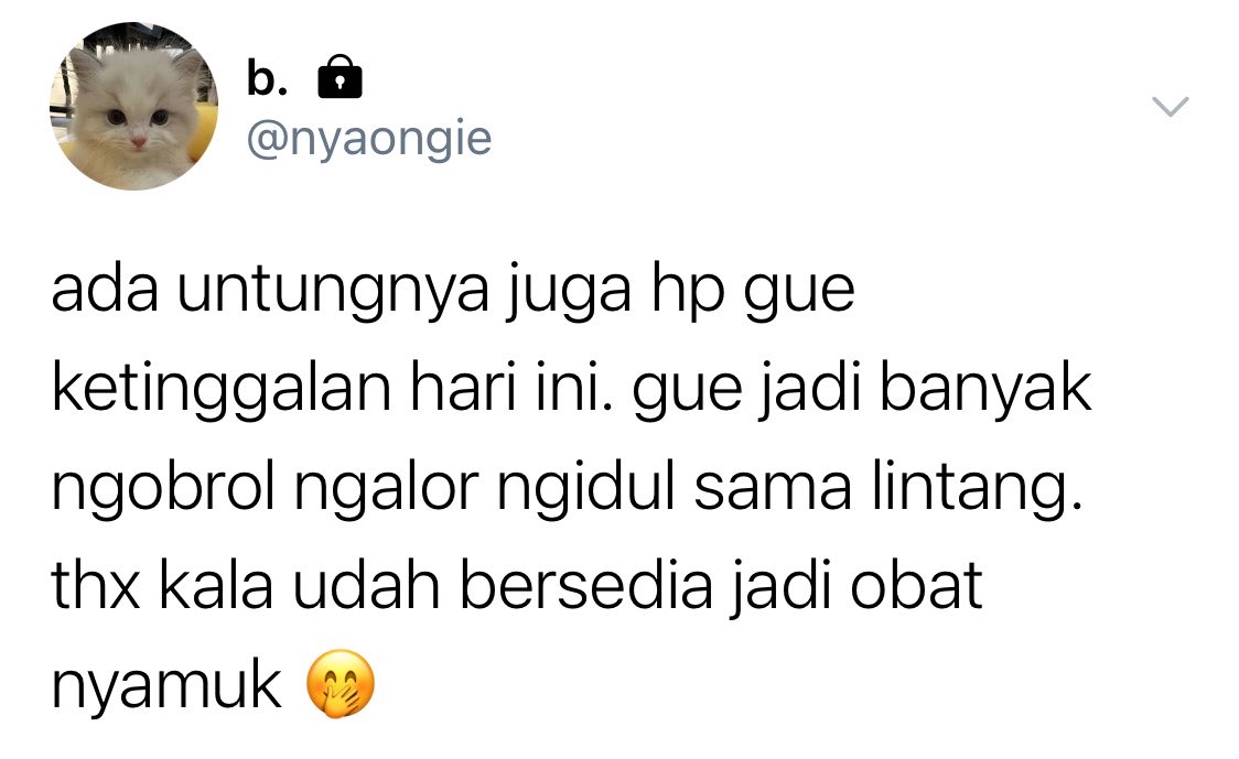 ash tweet media