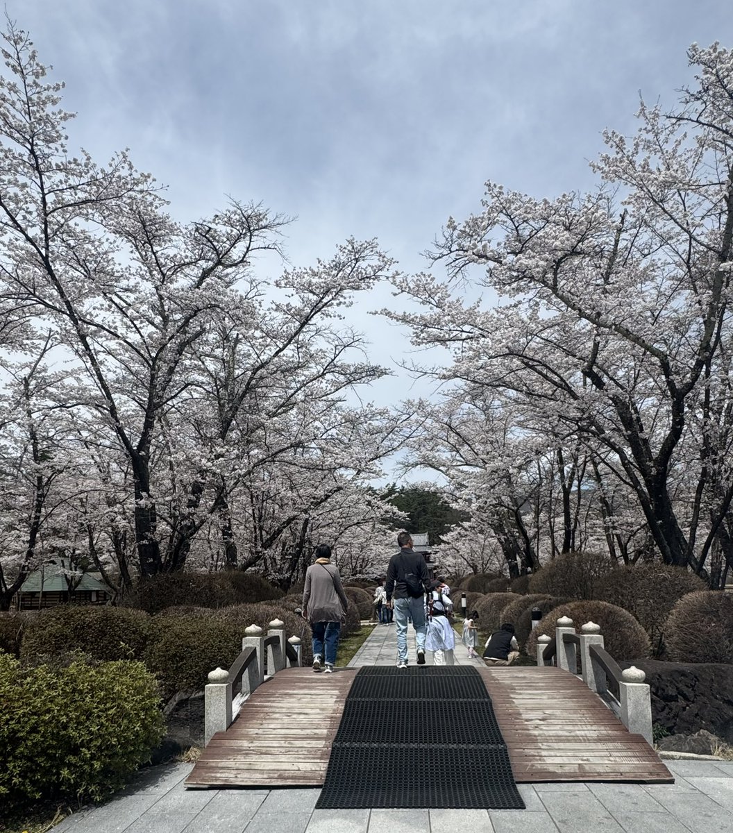 アロン tweet media