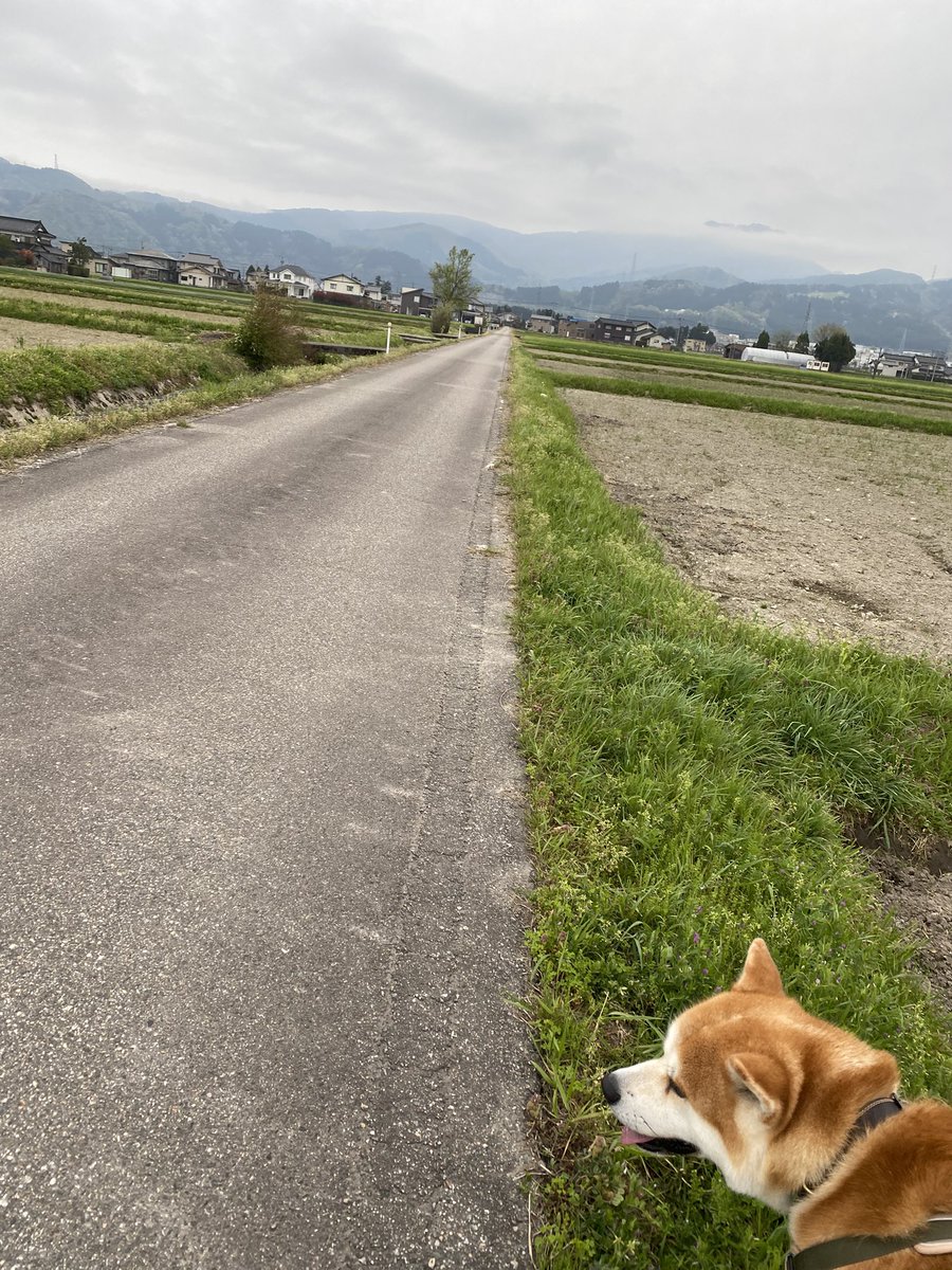 七宝🌿🕊🐇 tweet media