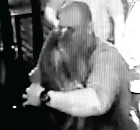 Linella🐢🐈‍⬛🌻🌅👑🇧🇻 tweet media