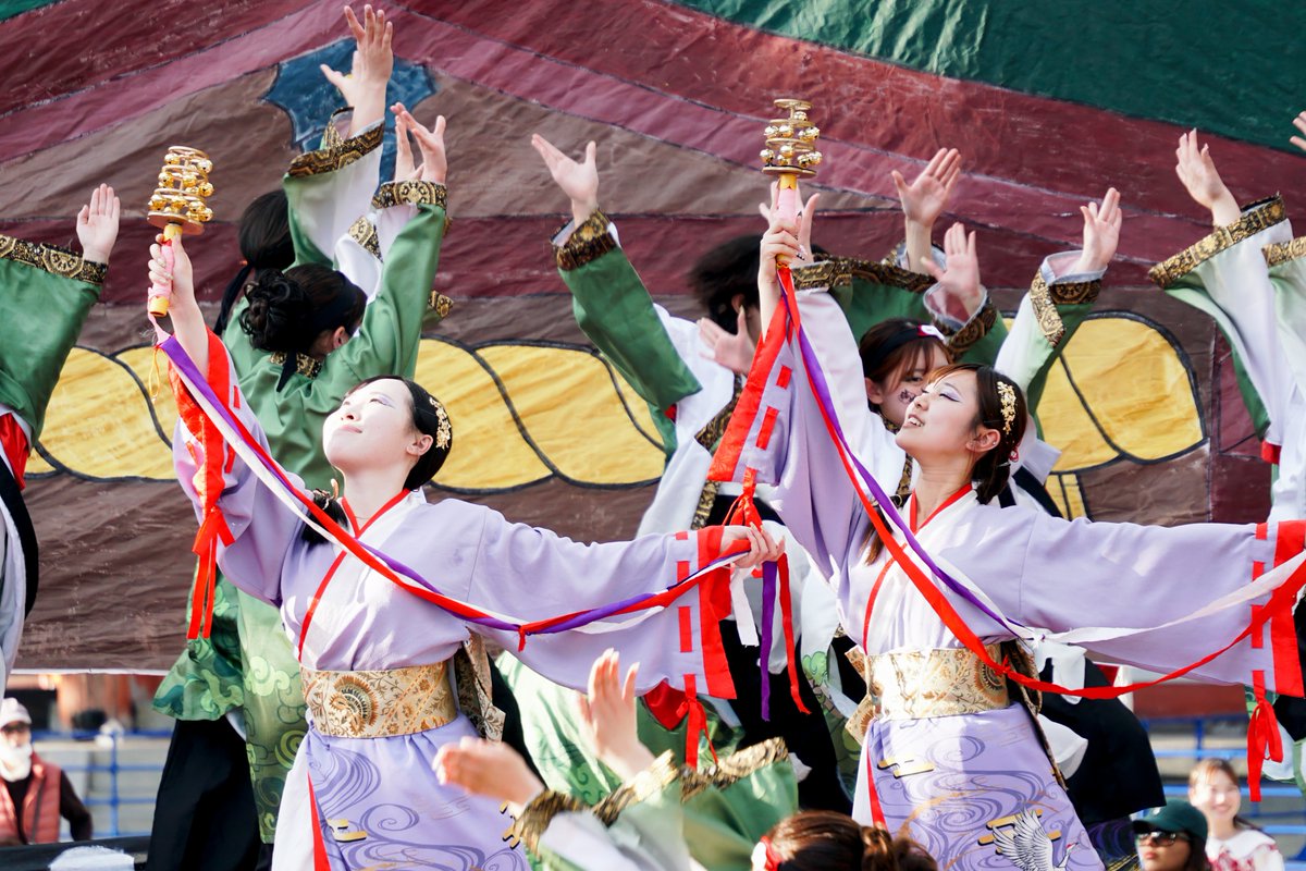 gomahal_0420X's tweet image. 京炎そでふれ！Tacchi
さくよさ2026

＃京炎そでふれ
＃Tacchi
＃さくよさ
＃さくらよさこい2026