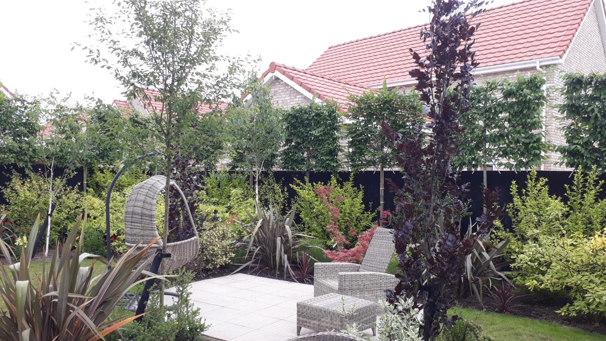 LeedsNews's tweet image. The perfect plants grown and designed for Yorkshire – they look lovely too!
#AD @MaturePlants #Hedges #Plants #Screening #InstantGarden #Yorkshire
trib.al/4qV7xri