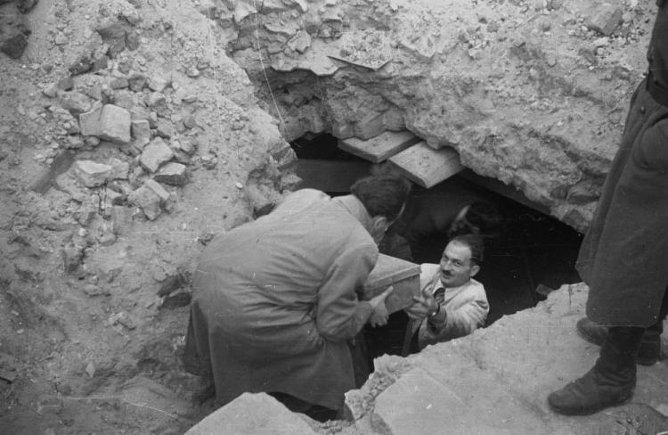 Outskirts 🔴 tweet media