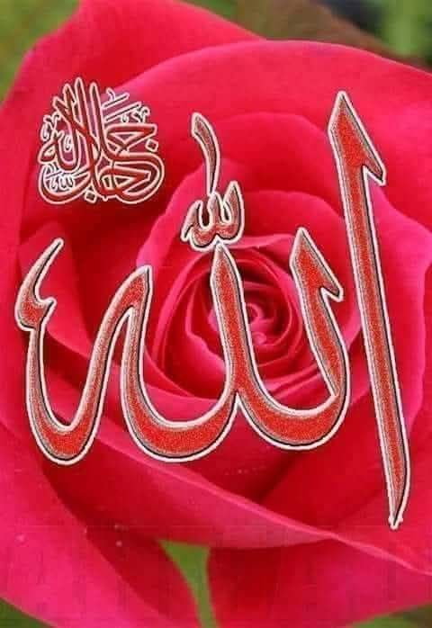 Maria Baloch tweet media