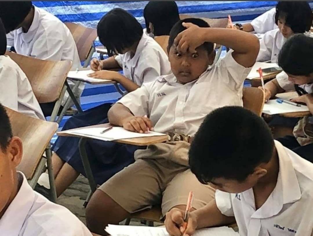 dheela nada tweet media