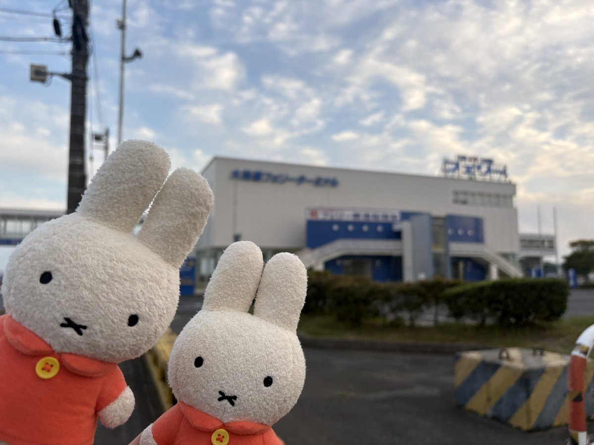 石川春奈 tweet media