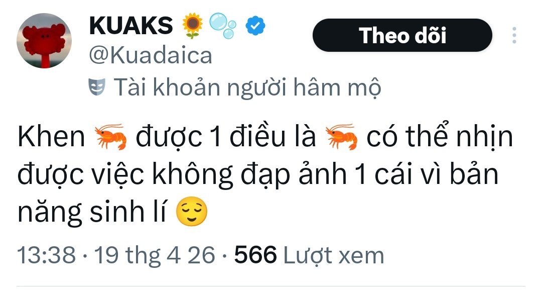 Phan Phan🧞🍊 tweet media