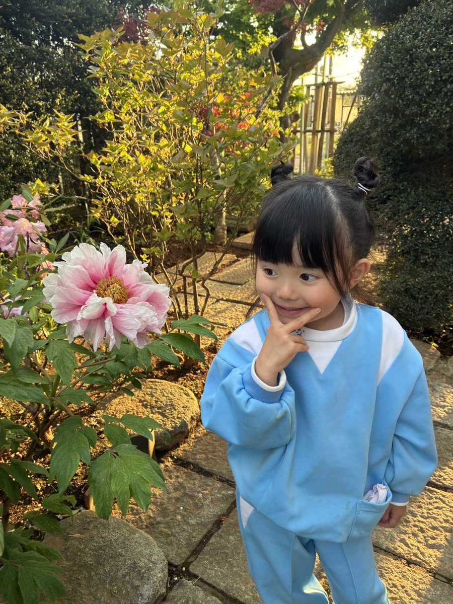 ガッキー tweet media