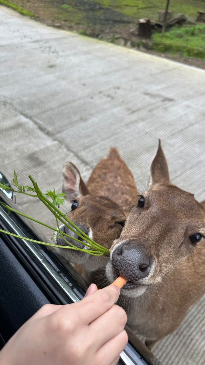 🝳 PWB tweet media