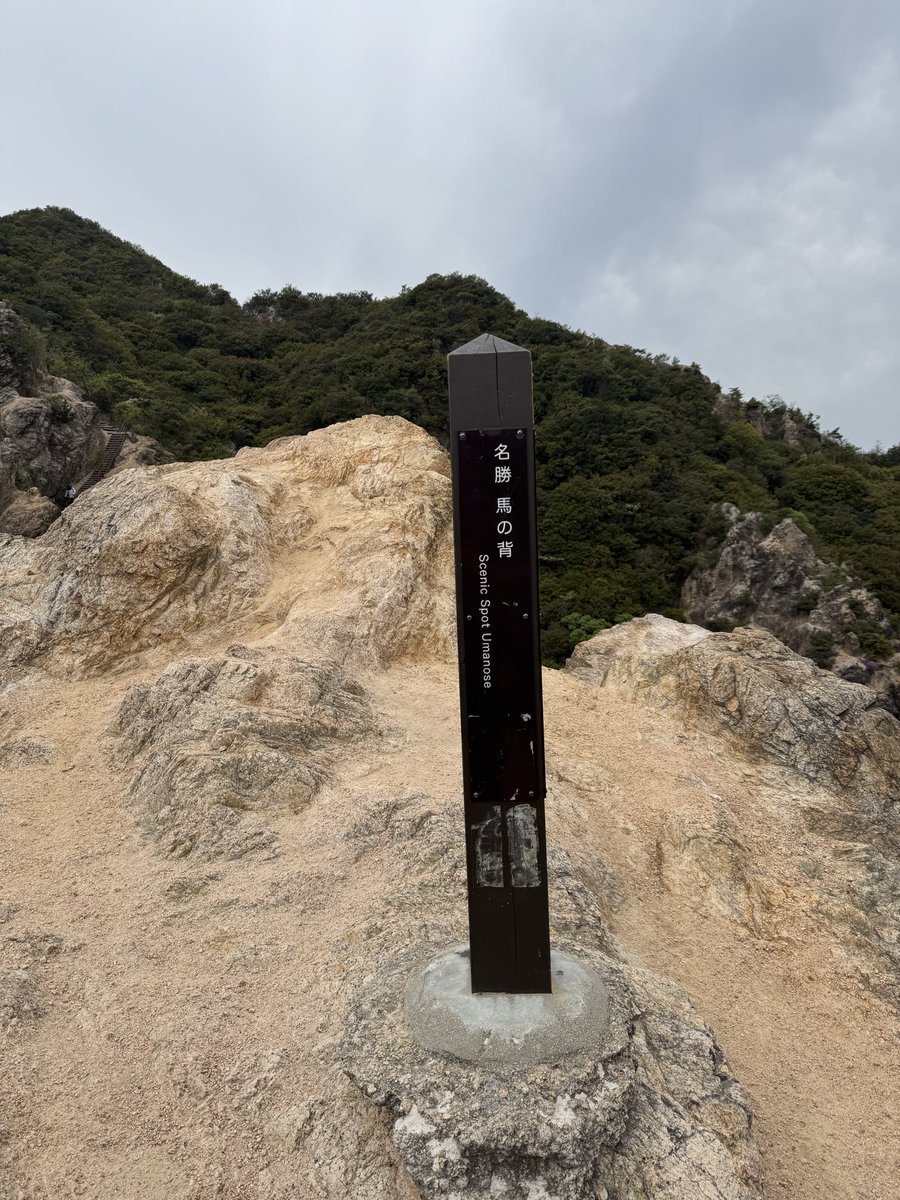 konoha4est's tweet photo. 須磨アルプス疲れたー
須磨浦公園駅から板宿までの縦走で階段多い
でも、ずっと景色変わってるから楽しく登れたな
行きたかった馬の背も渡れたのでよかった
膝めっちゃ痛くなったけど😓 https://t.co/PviiSpGmnd