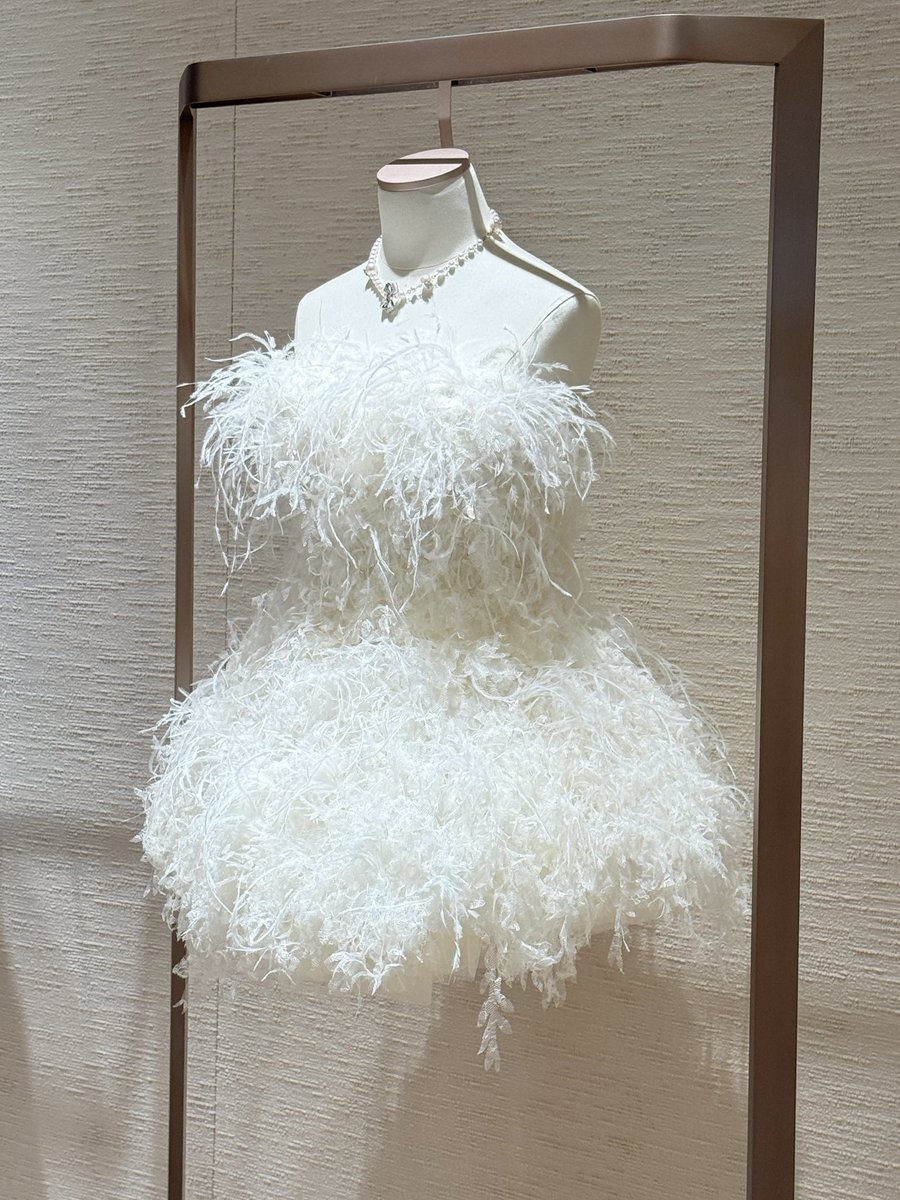 纯爱白米饭🍚 tweet media