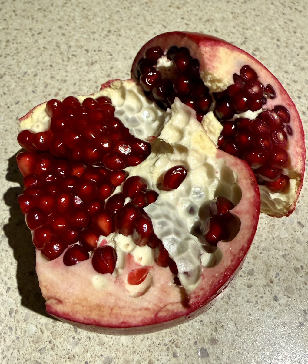 tatvonb's tweet image. Look at my pomegranates. They are bloody red. I grew these, stay jealous bishes. 😍🤌🏻 #fruit #organic
