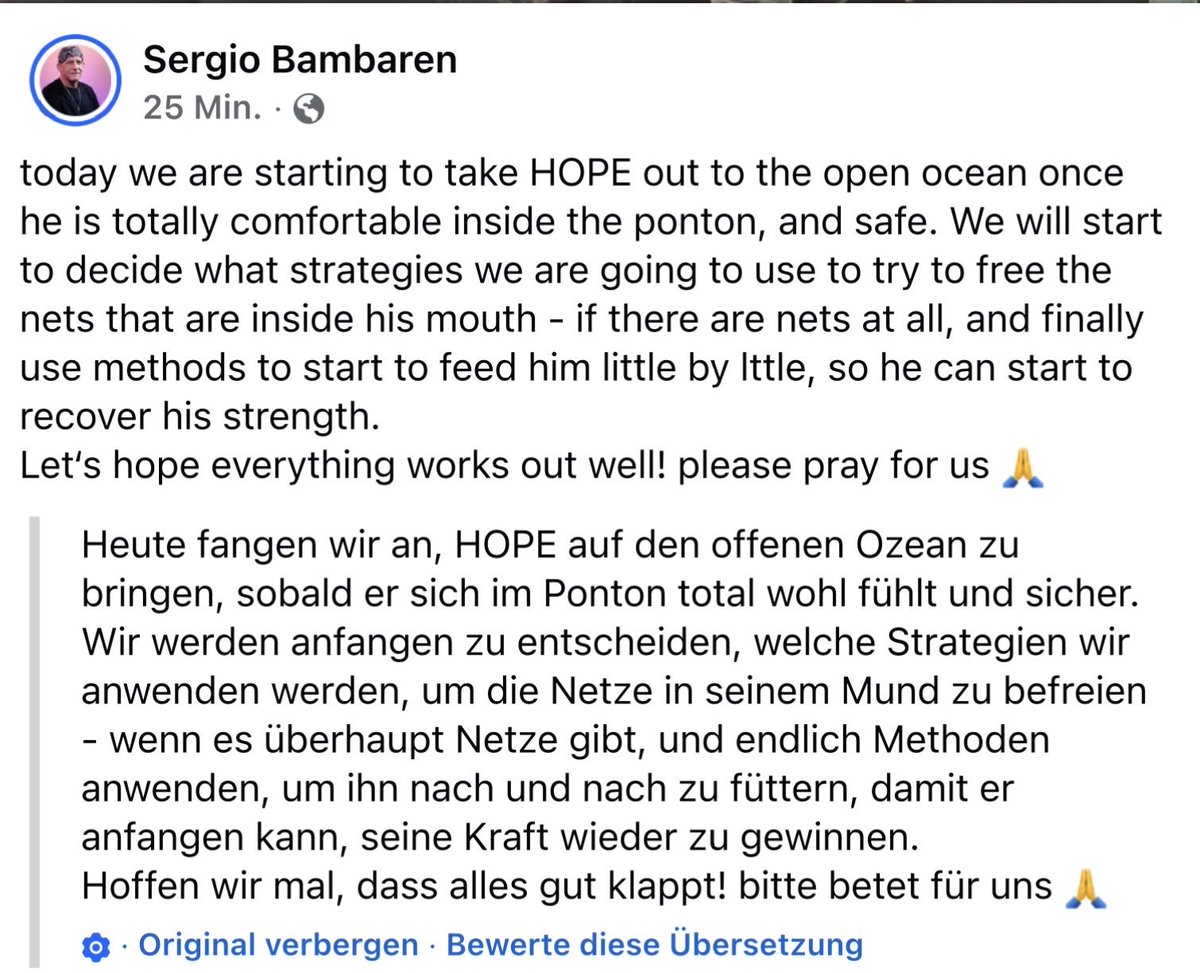 +++🐾 Der Terrier 🐾 +++ 🐶 🐋 tweet media