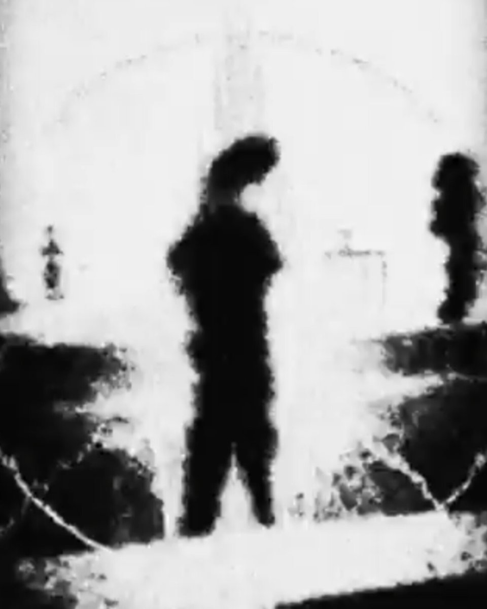 𝑷𝒂𝒓𝒂𝒅𝒊𝒔𝒆 𝑫𝒆𝒇. tweet media