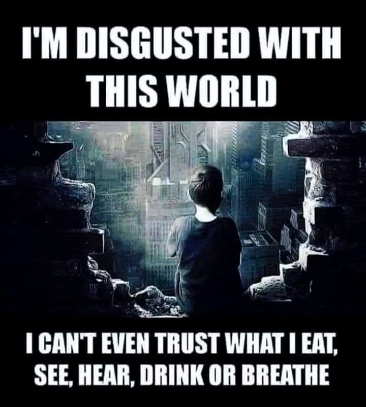 vegastar tweet media