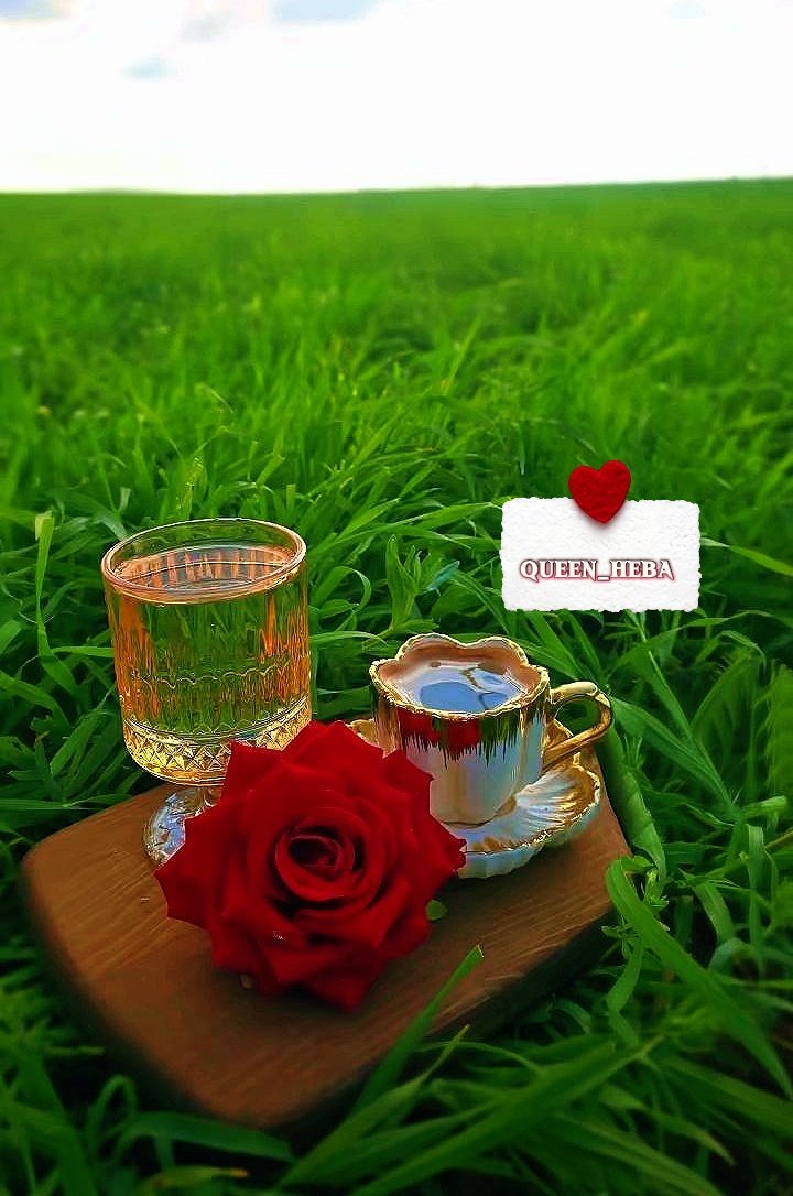 ‏ۿبـ፝֯֟ــو໑شـۿٰٕہِٰ۬ۛۥَِ۠❥ tweet media