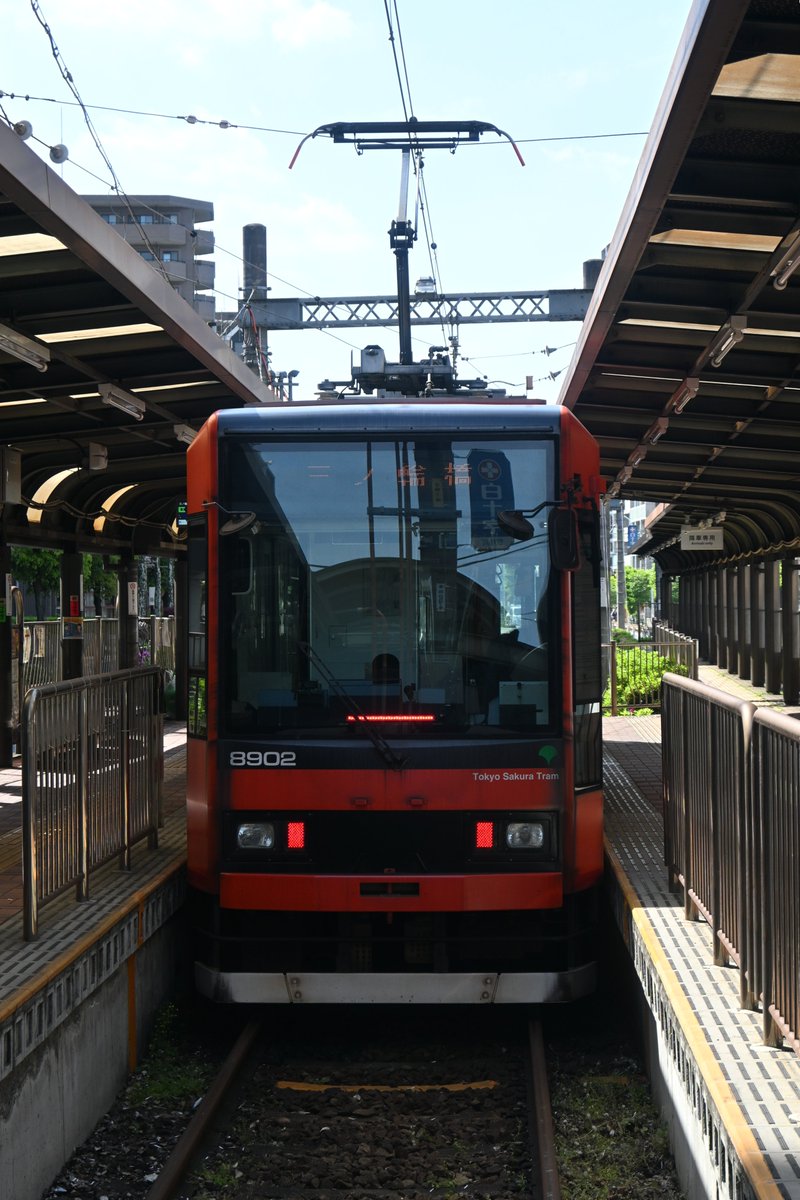 youplarail's tweet photo. 早稲田の方までやって来ました。
結局8501号車には会えずじまいでした。どこかですれ違ったのか、車庫にいたのか...
踏切から見ると坂を上ったり下ったりする車両が面白いですね。
#鉄道 #鉄道写真 #都電荒川線 #東京さくらトラム #都電 https://t.co/lytD6XIVaD