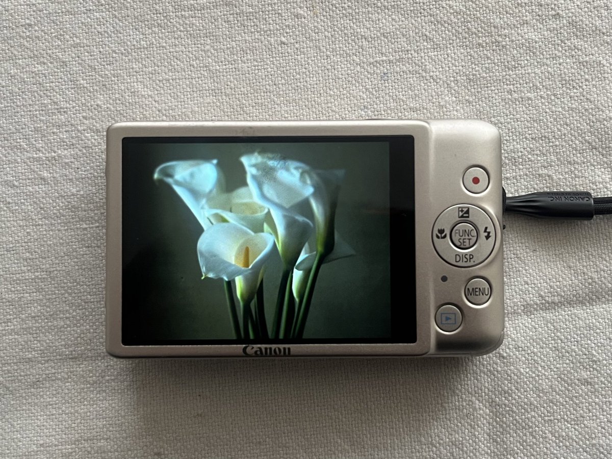 یاسمن (@pantone4052) on Twitter photo 