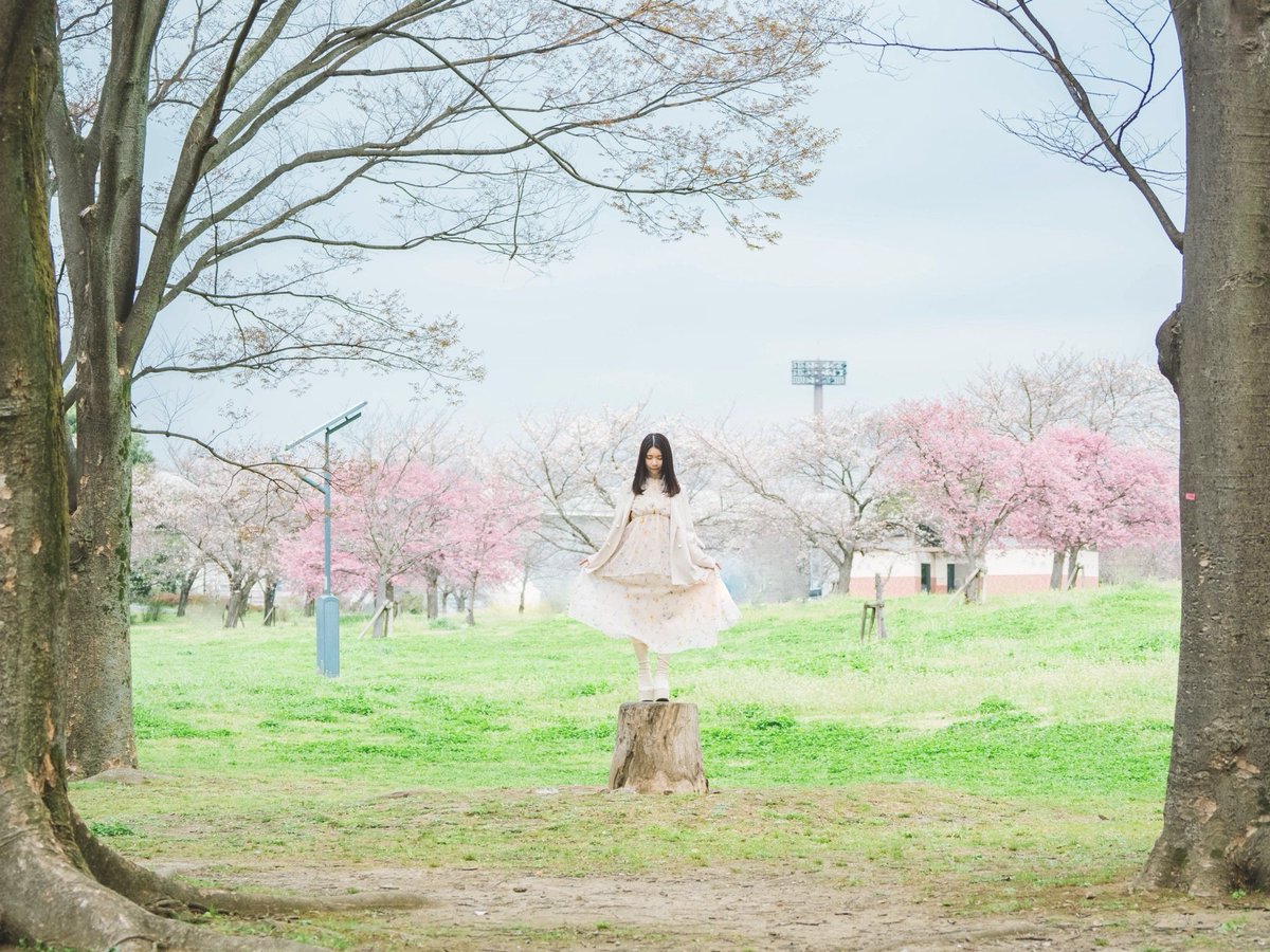 ミキティ。🌹 tweet media