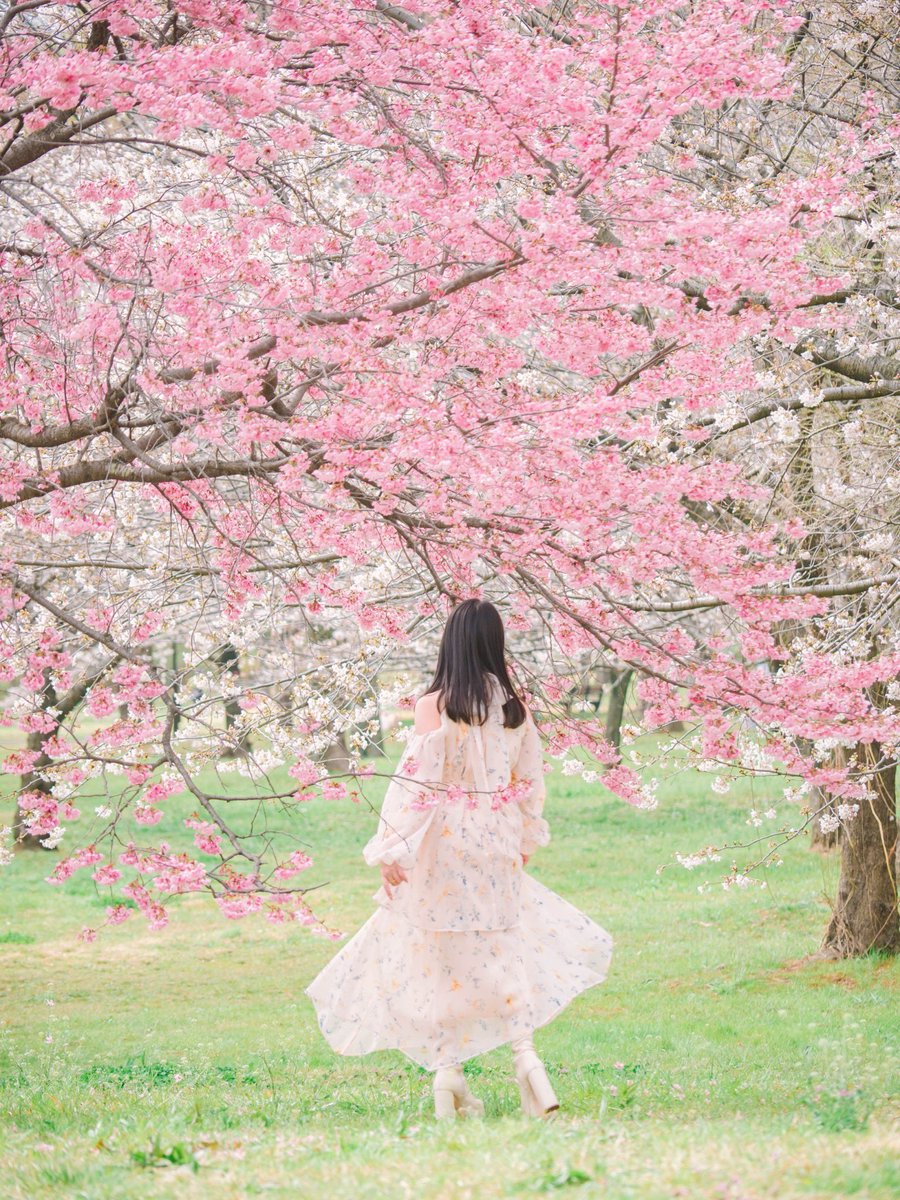 ミキティ。🌹 tweet media