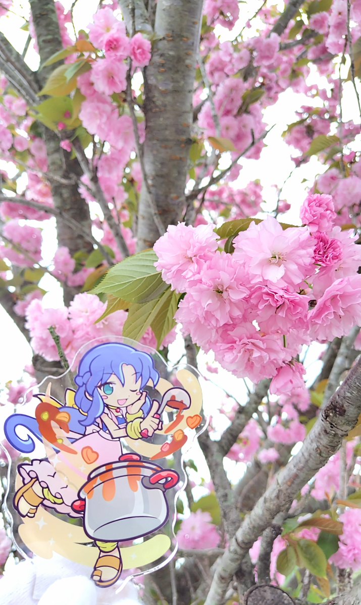 春りんz tweet media