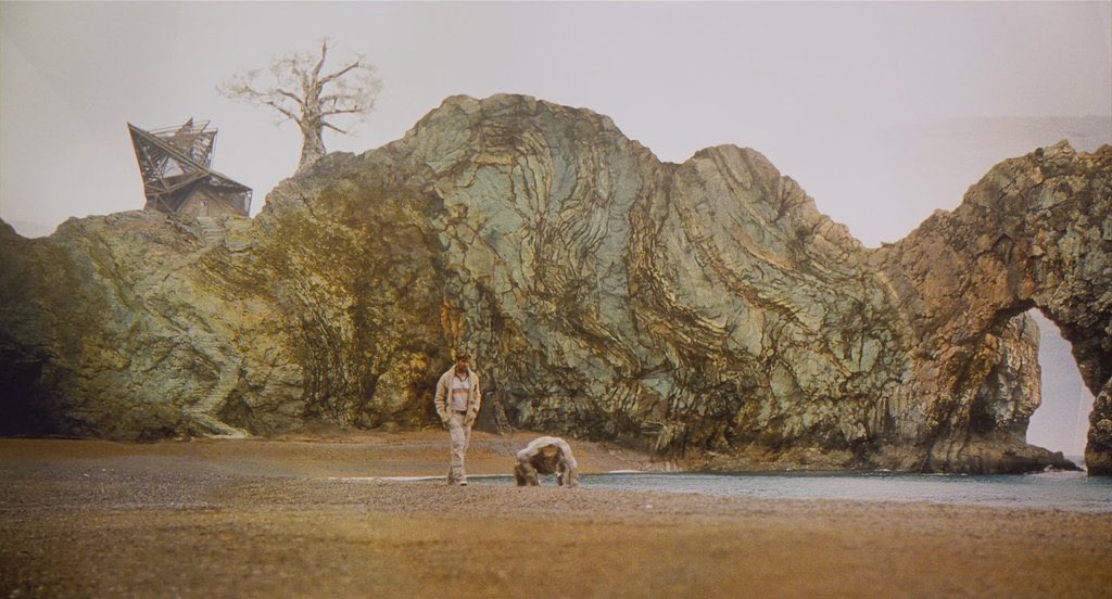 CHECK PINNED - mupi tweet media