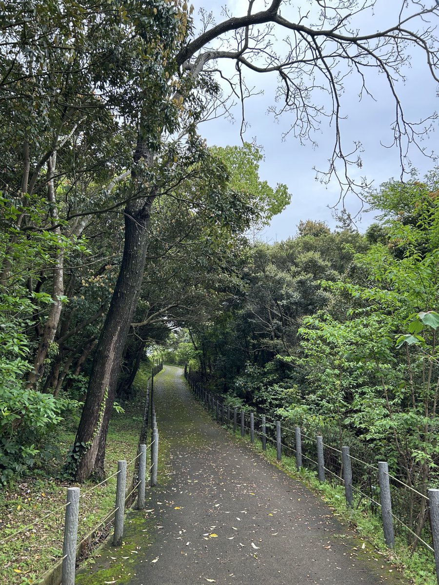 ACE＠5/16 PayPayリレマラ tweet media