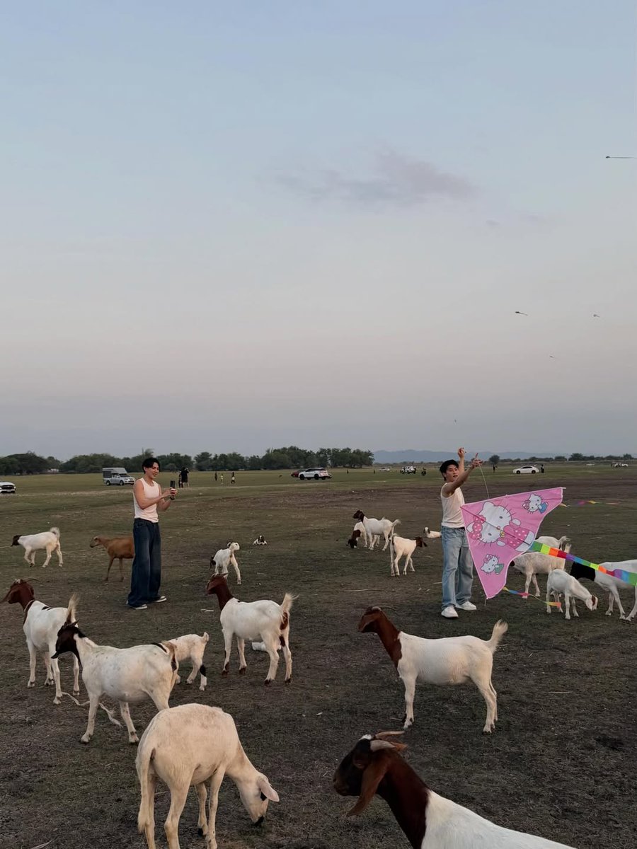 beyourNUBDAO⭐️ tweet media