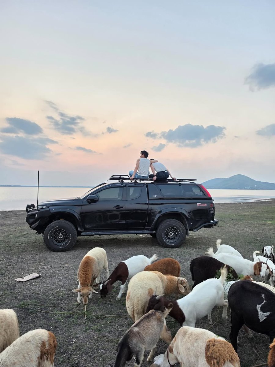 beyourNUBDAO⭐️ tweet media