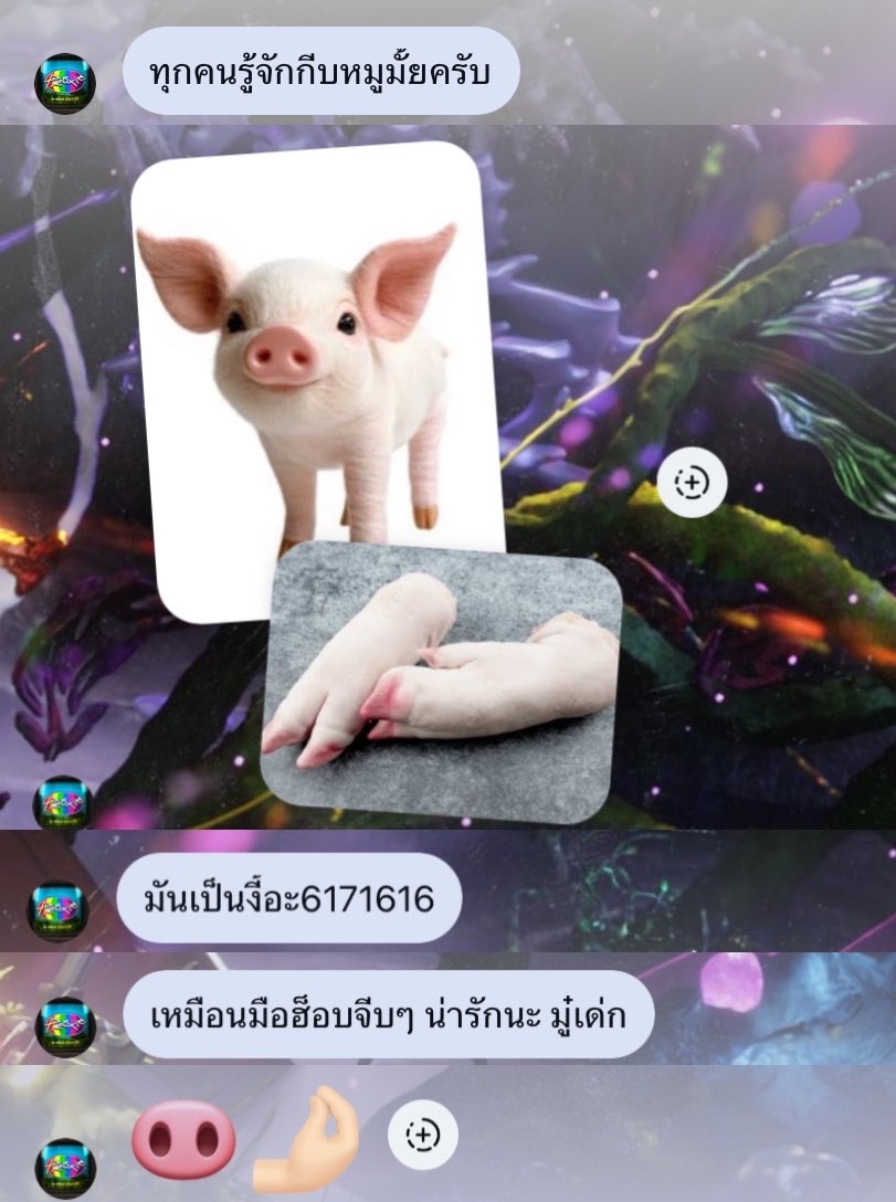 m ฮ็อบอะ tweet media
