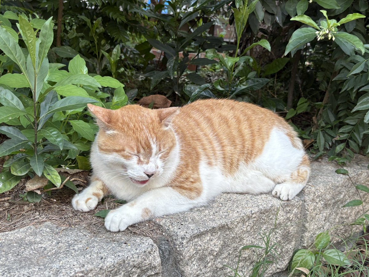 c.fu0701 tweet media