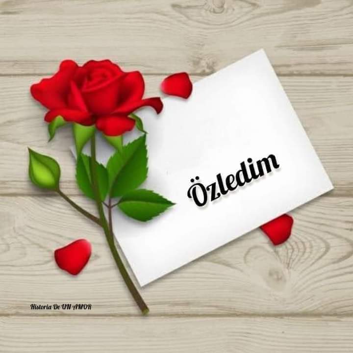 ▄︻┻ ℰ𝓇𝒸𝓊𝓂ℯ𝓃𝓉 ︻┳═─------ (@bay_ercument06) on Twitter photo 
