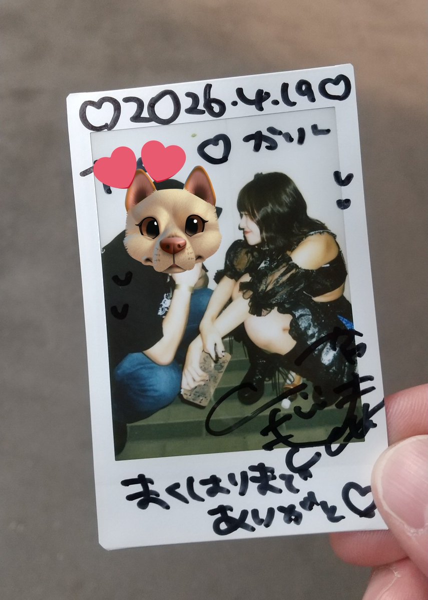 ぐっぴー🐶💙 tweet media