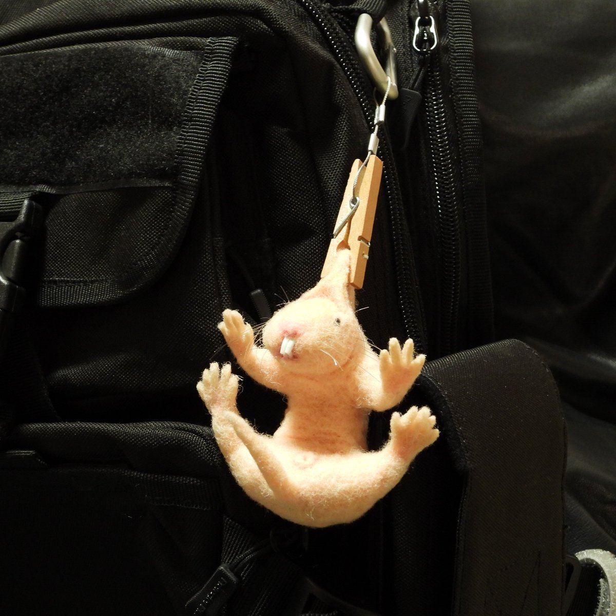 kamuymodels's tweet photo. ネット画像を参考にして吊られハダカデバネズミを作りました。
暫くはバッグに下げて市中引き回しの刑にします❤️
#ハダカデバネズミ 
#カムイモデルズ 
#羊毛フェルト https://t.co/XeciehJ94a