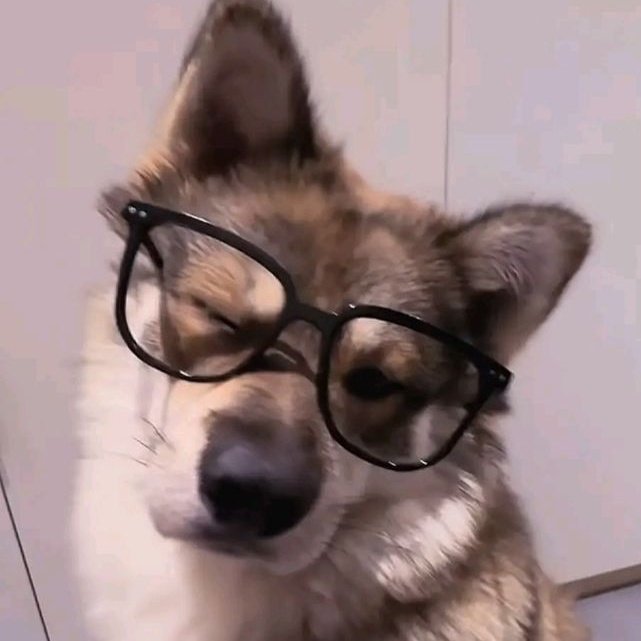 hearts4_dk's tweet image. #twinning