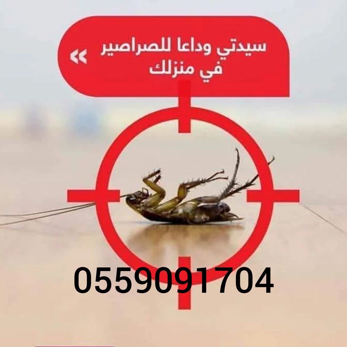 qq__pp_5's tweet photo. شركة نجد لرش المبيدات عقود بلدية رش دخان فوجر للناموس مكافحة الحشرات بالضمان #رش_مبيدات #مكافحة_حشرات #مكافحه_حشرات_بالرياض #نمل_ابيض #نمل https://t.co/SZbniCoDlM