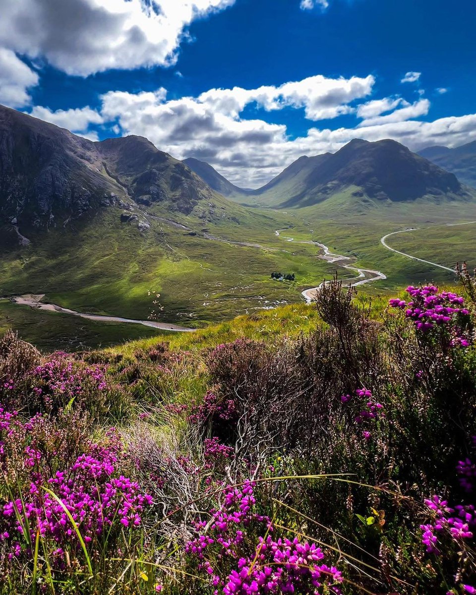 freddie barss tweet media