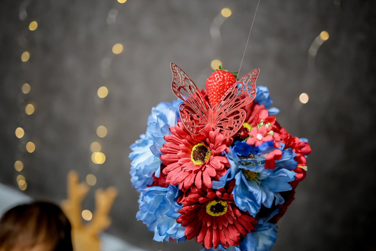 犬派ねこ☺︎🚀&🐶ｲﾁ tweet media