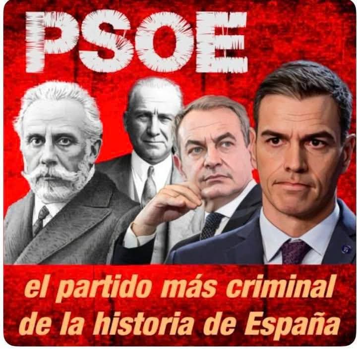 Alber👍💫💯 tweet media