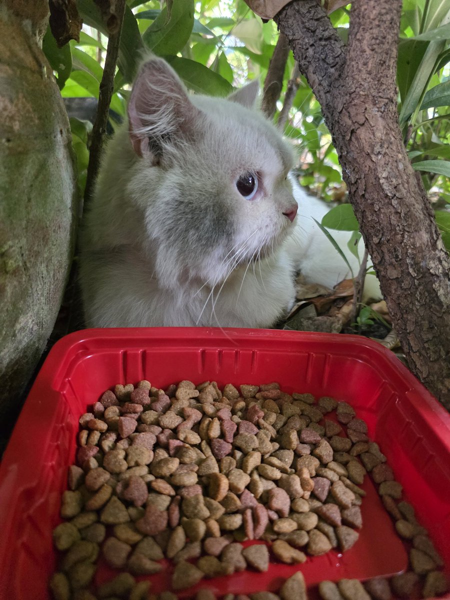 🍒ℬ𝑒𝑒​𝑗𝑢𝑛𝑔59🍒 tweet media