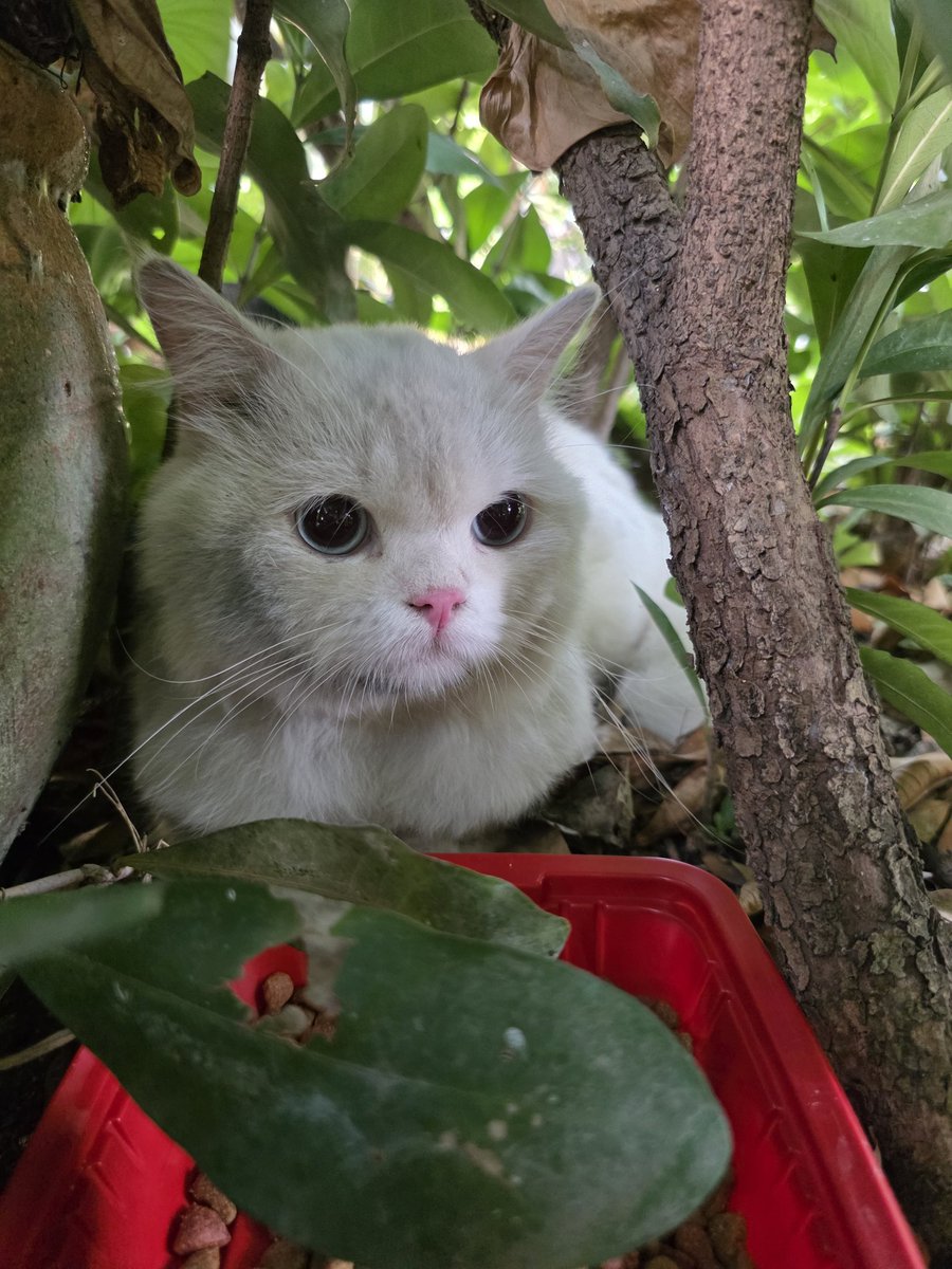 🍒ℬ𝑒𝑒​𝑗𝑢𝑛𝑔59🍒 tweet media