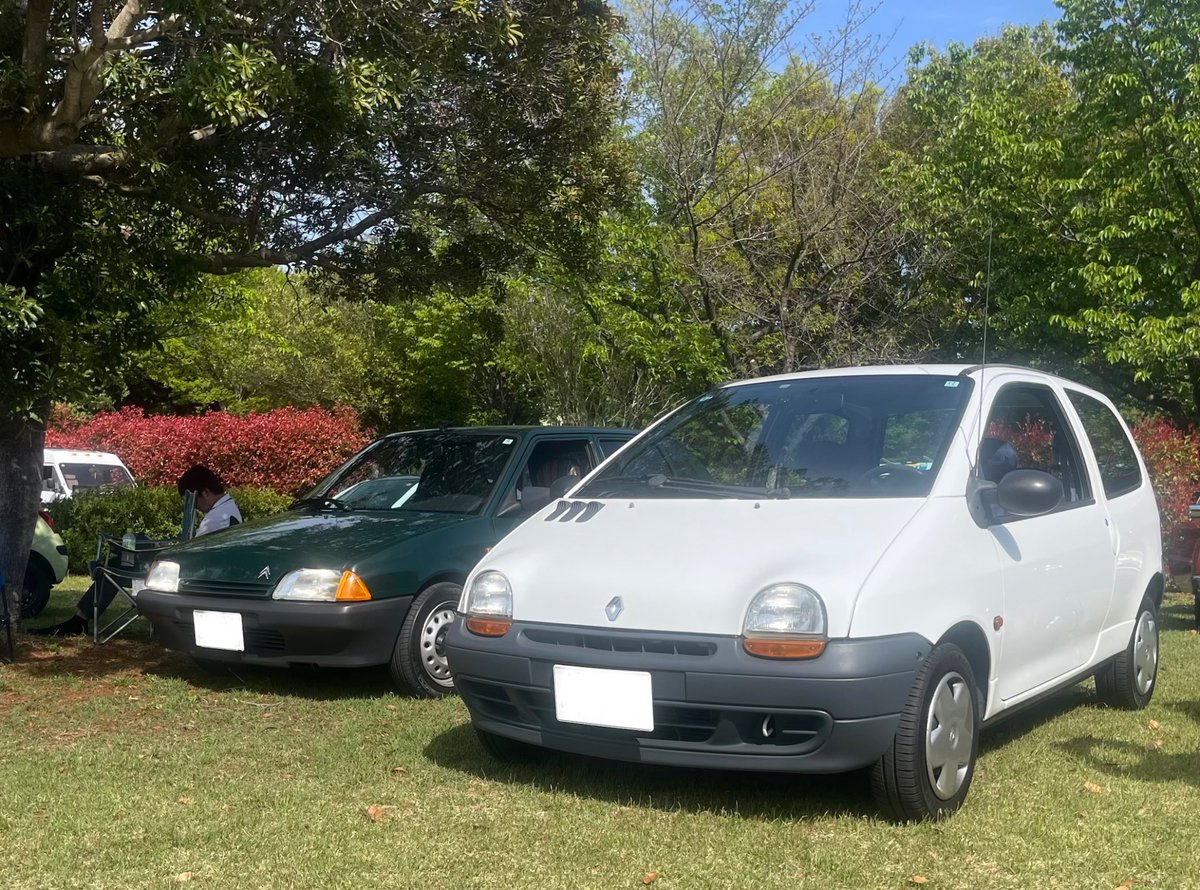 ミオ・ブル tweet media