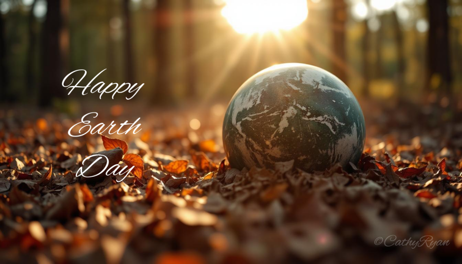 CathyRy's tweet image. #SundayStills ~ Celebrating Earth Day #Nature #Photography betweenthelinesbookblog.com/2026/04/19/sun… via @CathyRy