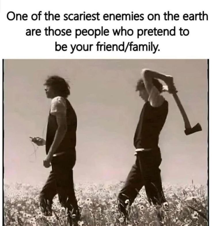 Mindful Maven tweet media