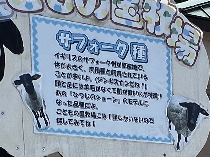 すみれ tweet media