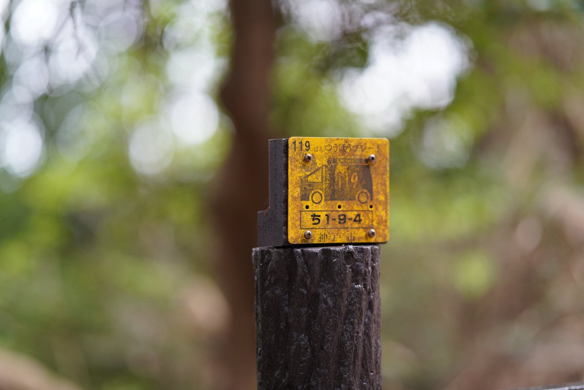 鍋蓋山486m 登頂٩( 'ω' )و