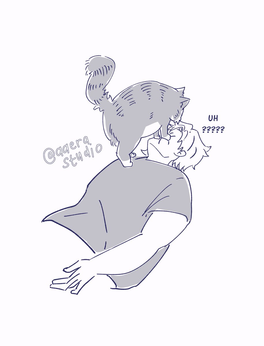 aera 𐙚🧸ྀི tweet media