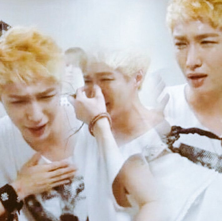 Chikulet ✨️🐢 tweet media